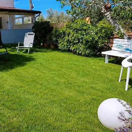公寓 Meraviglia D'otranto- Garden Con Parcheggio E Convenzionata