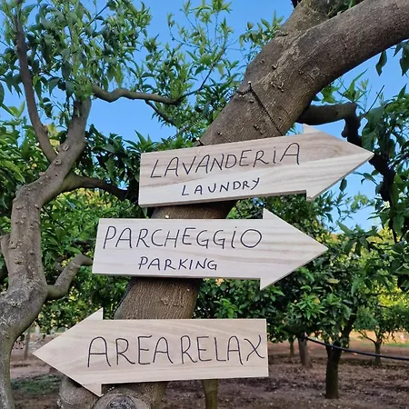 Meraviglia D'otranto * Otranto